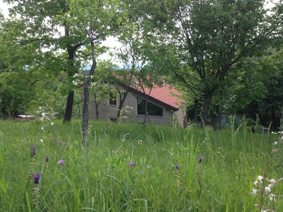 Ca' De L'Ase Bed & Breakfast Pontinvrea Exterior foto